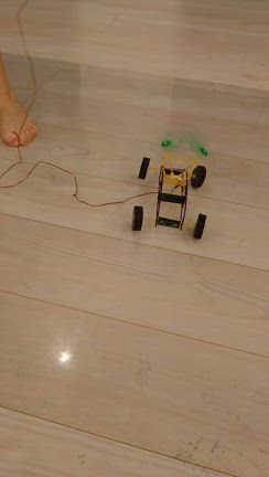 のんびり我が家の夏休みの記事動画
