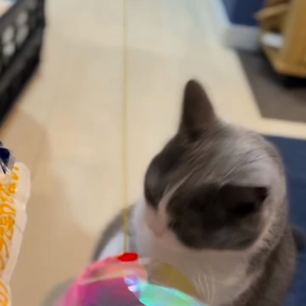 2023/08/19の画像