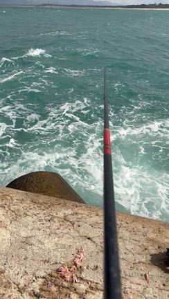 初釣り　志賀島　チヌ釣りの記事動画