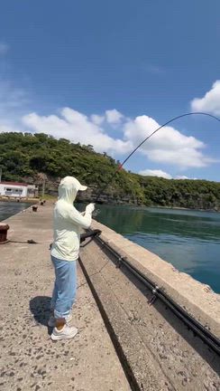 対馬　墓参りのち　波止釣りの記事動画