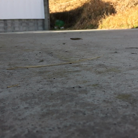 練習の画像