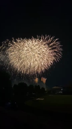 夏休みの記事動画