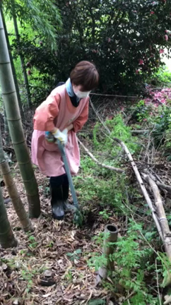 タケノコ掘り✩.*の記事動画