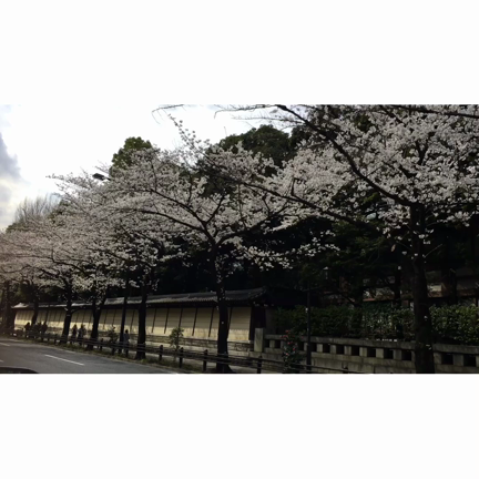 写真展の記事動画