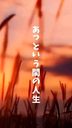 モヤモヤの記事動画