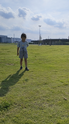 春日部夢の森公園の記事動画