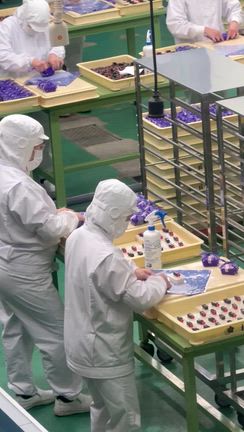 桔梗屋信玄餅の工場見学の記事動画