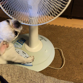 絶対に負けられない戦いが、ここにはある‼︎ ②の画像