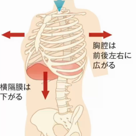 学び続けるの画像