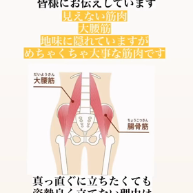 大腰筋の画像