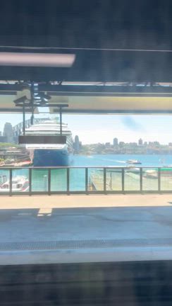 酷暑の火曜日！気分上げてスタートだー(^○^)の記事動画