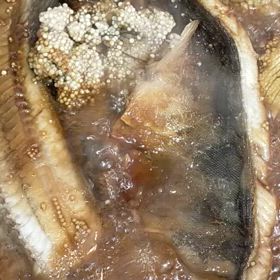 ホッケと　卵の　煮付け〜　仕上がり〜の画像