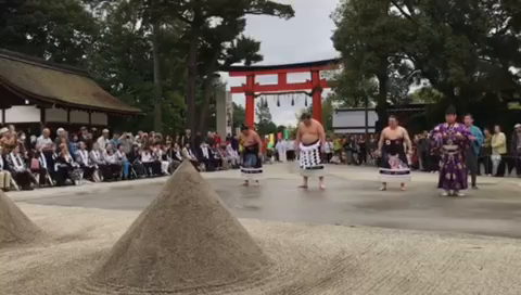 再び。の記事動画