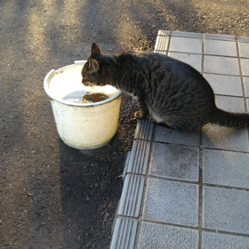 2018年12月11日のブログの画像