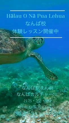 体験レッスンご案内&お申込みの返信が届いていない方への記事動画