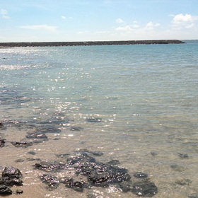 【石垣生活日記】38日目 やっぱり石垣島は私にあってるの画像