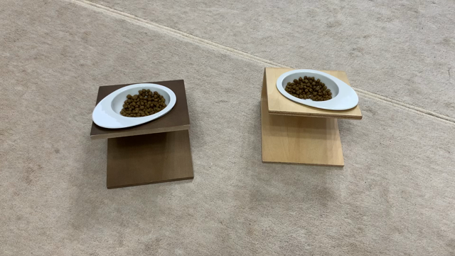 食べっぷりは元気の安心！の記事動画