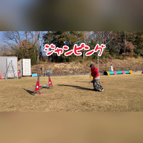 初めてのアジリティセミナーの画像