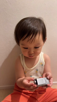 愛おしい息子の記事動画