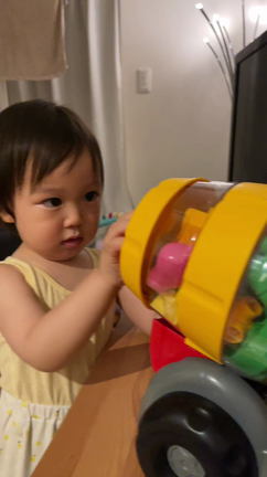今日の記事動画