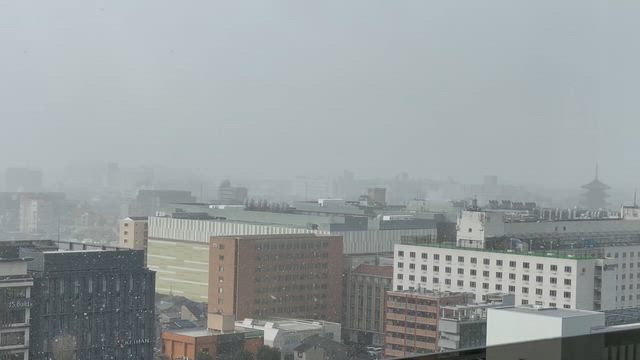 雪ちらつく京都… 相国寺「承天閣美術館」の記事動画
