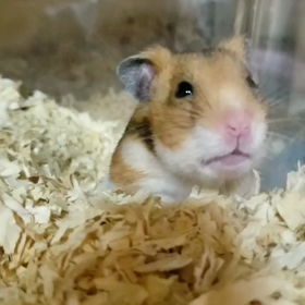 おはよう☺️水牙の画像