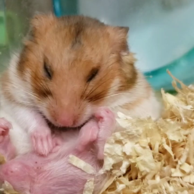 仕事終わった～✌️の画像