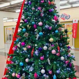 1日1クリスマスツリーinKOBEの画像