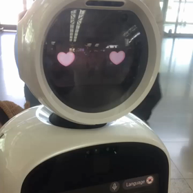 日本への画像