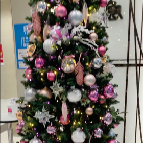 1日1クリスマスツリーinKOBEの画像