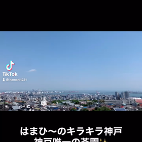 はまひ〜のキラキラ神戸唯一の茶園 静香園ニュースの画像