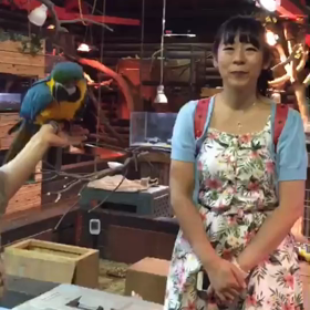 インコちゃんと共にの画像