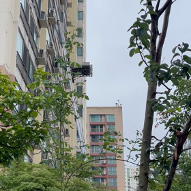 韓国からおやすみなさい！今日ドキドキした光景！の画像