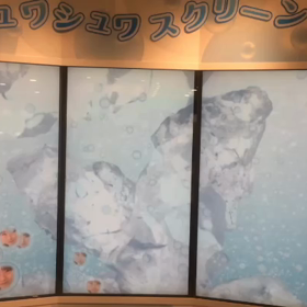 アサヒ飲料明石工場見学②の画像