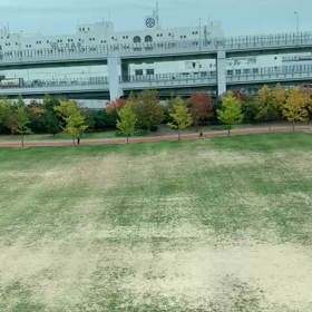韓国へ…と思ったら！の画像