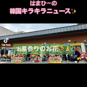 韓国からおはようございます！今朝のTikTokはお墓参りについて！の画像