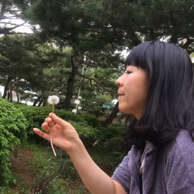 タンポポの綿毛との画像