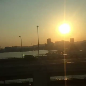Zeddの画像