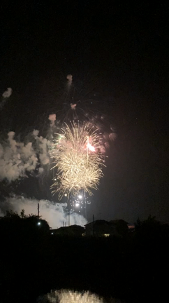最後の花火大会とハムスターの記事動画