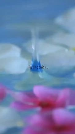 2024/03/13の記事動画