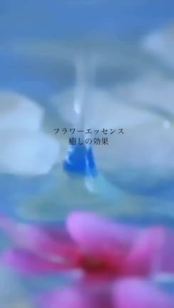 フラワーエッセンスの効果の記事動画
