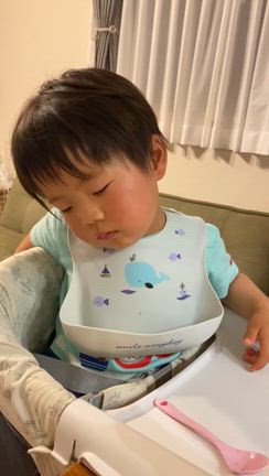 2歳9ヶ月と海遊館の記事動画
