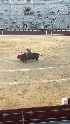 スペイン・ポルトガルの旅11。マドリード2日目後半　ラスベンタス闘牛場　La Barracaの記事動画