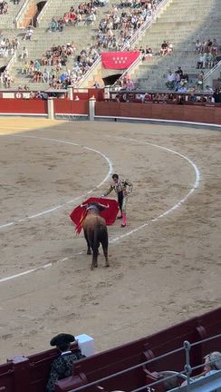 スペイン・ポルトガルの旅11。マドリード2日目後半　ラスベンタス闘牛場　La Barracaの記事動画