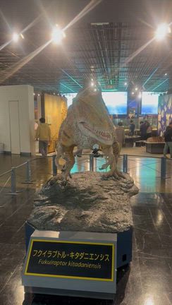 三世代で行く福井、金沢北陸旅　①の記事動画