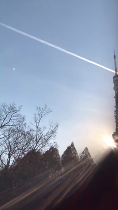 年末は書き入れどきの記事動画