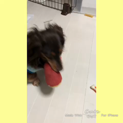 体調を崩してしまいましたの記事動画