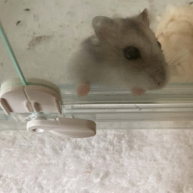 「扉開けて〜♪」の画像