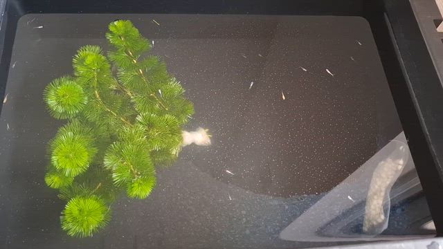 連休中は特に予定もないので…。の記事動画