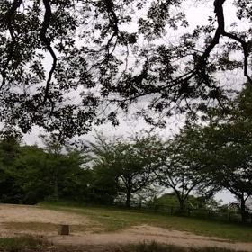 浮上したい٩(๑`^´๑)۶の画像